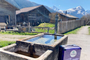 A rustic stone water trough filled with clear water sits outdoors next to a dirt path. In the foreground, a purple suitcase with a "Deafblind" logo is visible. Old wooden chalets and snow-capped mountains are in the background.