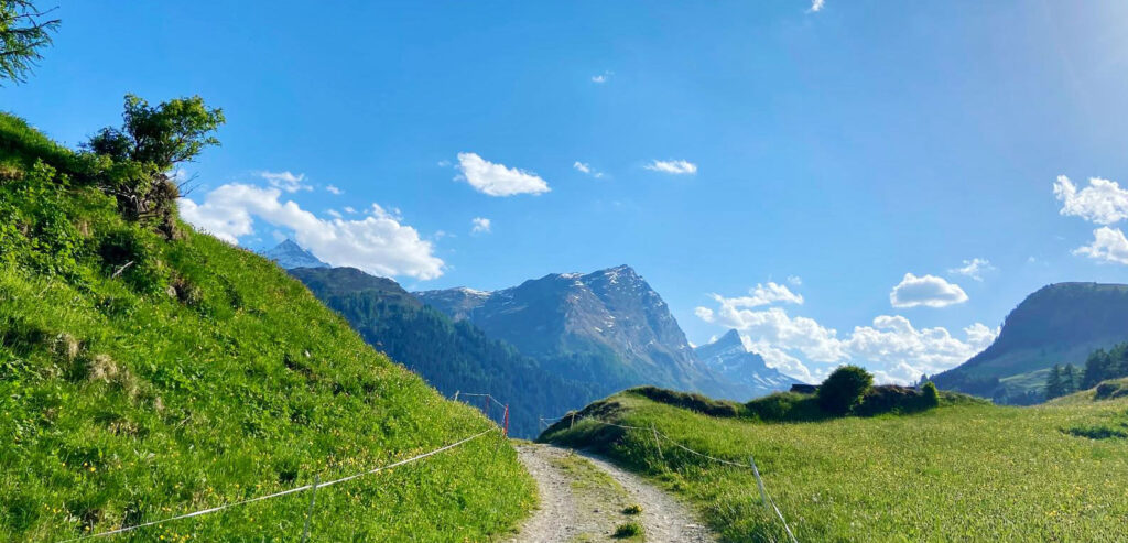 A dirt and gravel path winds through a vibrant green, grassy hillside under a bright blue sky with scattered white clouds. In the distance, large, rugged mountain peaks stand against the horizon.